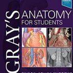 Gray's Anatomy for Students 4th Edition PDF Free Download