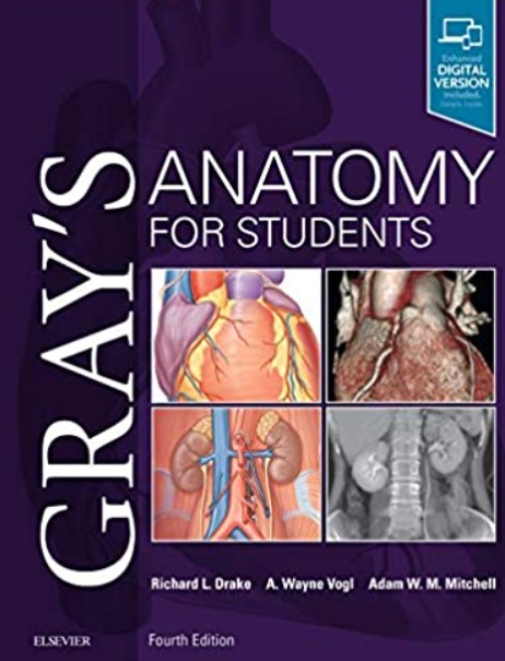 Gray's Anatomy for Students 4th Edition PDF Free Download