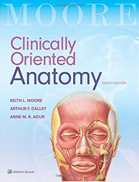 Moore’s Clinically Oriented Anatomy 8th Edition PDF Free Download