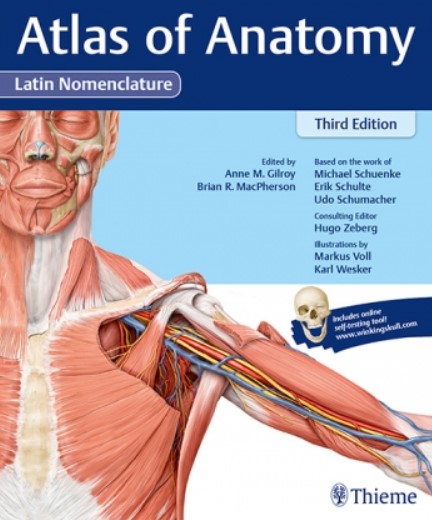 THIEME Atlas of Anatomy 3rd Edition PDF Free Download