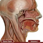 Download Encyclopedia of Oral and Maxillofacial Surgery Volume I 1st Edition PDF Free
