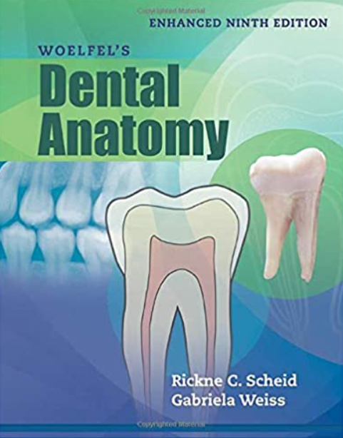 Download Woelfel's Dental Anatomy Enhanced Edition 9th Edition PDF Free