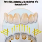 Download Tech Book Volume 1 Anterior Anatomy and The Science of a Natural Smile PDF Free