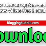 Lecturio Nervous System and special senses Videos 2022 Free Download