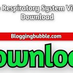 Lecturio Respiratory System Video 2022 Free Download