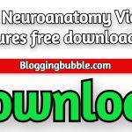 Sqadia Neuroanatomy Video Lectures