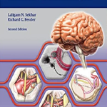 Atlas of Neurosurgical Techniques: Brain 2nd Edition PDF Free Download