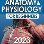 Anatomy & Physiology for Beginners 2023 PDF Free