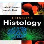Concise Histology 1st Edition PDF