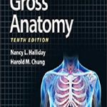 RS Gross Anatomy (Board Review Series) 10th Edition PDF Free