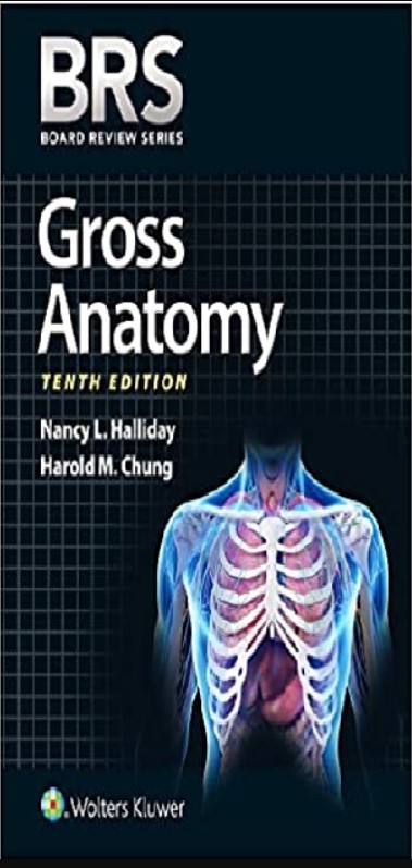RS Gross Anatomy (Board Review Series) 10th Edition PDF Free