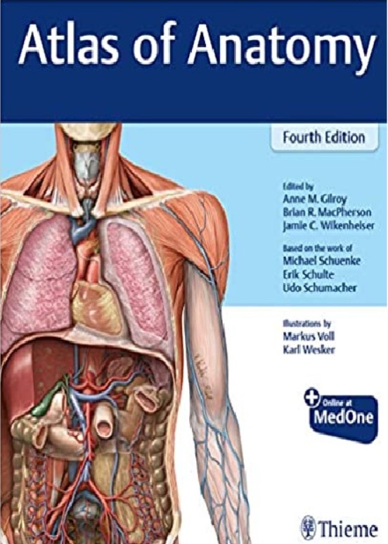 Atlas of Anatomy 4th Edition PDF Free