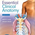 Moore’s Essential Clinical Anatomy 7th Edition PDF Free