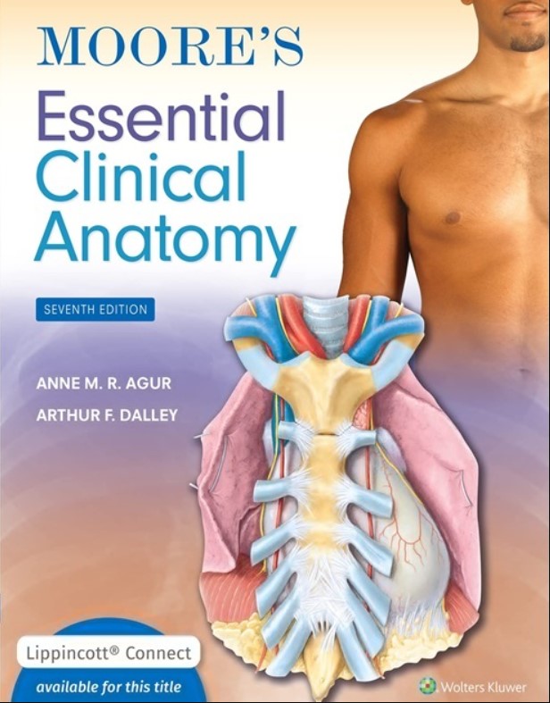 Moore’s Essential Clinical Anatomy 7th Edition PDF Free