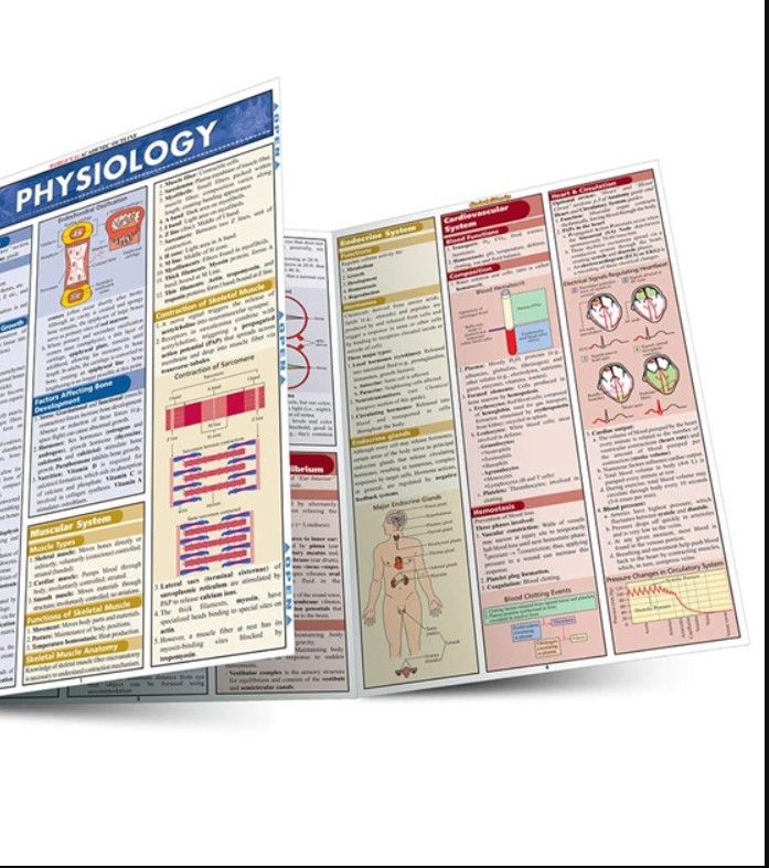 Physiology (Quick Study Academic) PDF Free