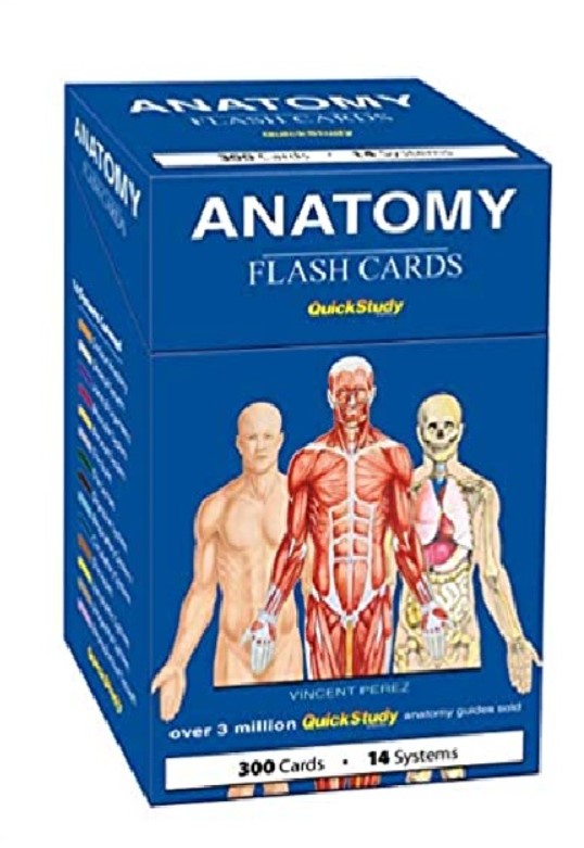 Anatomy (Quickstudy) Cards PDF Free