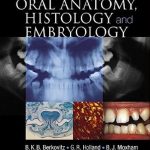 Oral Anatomy, Histology and Embryology 4th Edition PDF Free Download
