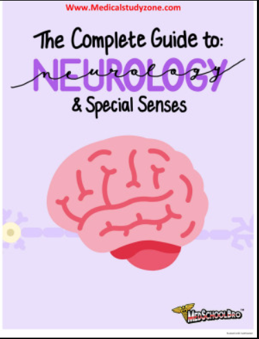 MedSchoolBro The Complete Guide to: Neurology PDF Free Download