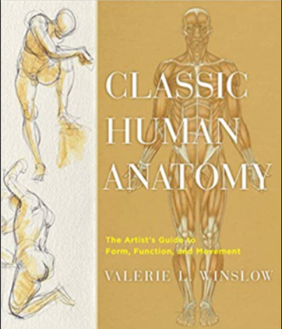 Classic Human Anatomy PDF Download 2024